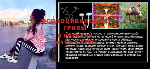 спиды Горняк