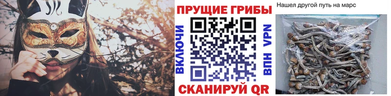 Галлюциногенные грибы Magic Shrooms  это как зайти  Железногорск 